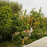 Amelia - Vanato, Zakynthos Vanato